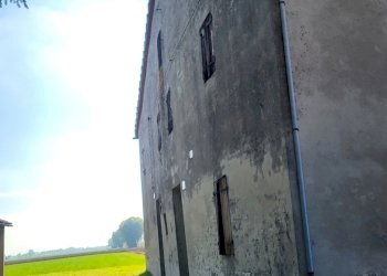 20221003_150246_resized_1.jpg - Terratetto - Terracielo Via Ponticella 2, Sissa Trecasali - foto 10