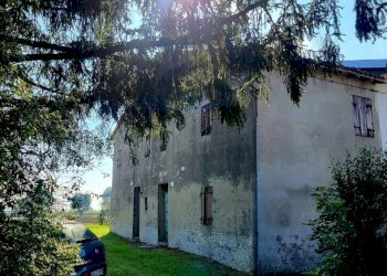 20221003_150553_resized_1.jpg - Terratetto - Terracielo Via Ponticella 2, Sissa Trecasali - foto 13