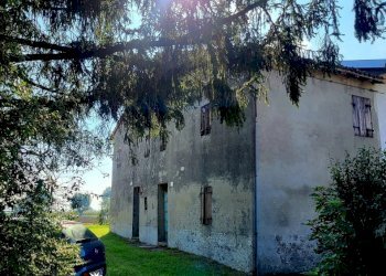 20221003_150553_resized_2.jpg - Terratetto - Terracielo Via Ponticella 2, Sissa Trecasali - foto 14