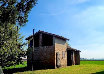 20221003_150716_resized_1.jpg - Terratetto - Terracielo Via Ponticella 2, Sissa Trecasali - foto 18