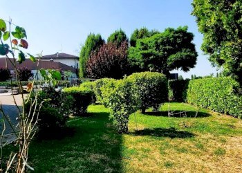 IMG-20250627-WA0071.jpg - Appartamento Via Pietro Nenni 38, Fontanellato - foto 26