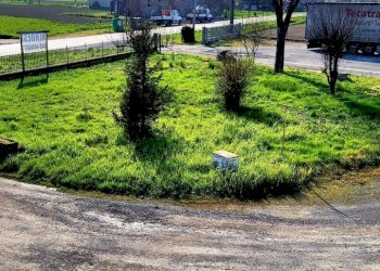 20250320_153017.jpg - Porzione di casa SP50 20, San Secondo Parmense - foto 4