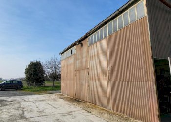 20250320_155605.jpg - Porzione di casa SP50 20, San Secondo Parmense - foto 17