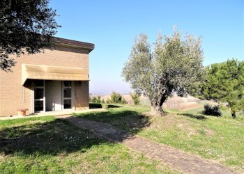 DSC06815.JPG - Terreno agricolo Senigallia - foto 2