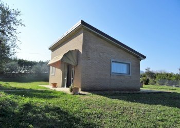 DSC06813.JPG - Terreno agricolo Senigallia - foto 3