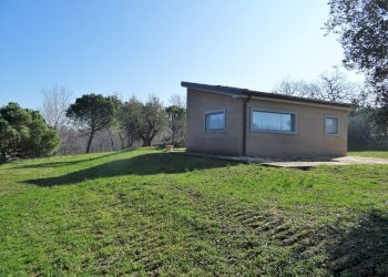 DSC06812.JPG - Terreno agricolo Senigallia - foto 4