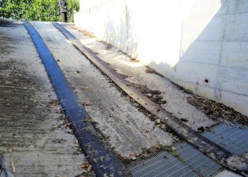 DSC06807.JPG - Terreno agricolo Senigallia - foto 6