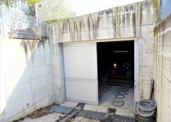 DSC06808.JPG - Terreno agricolo Senigallia - foto 7