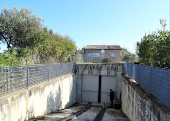 DSC06809.JPG - Terreno agricolo Senigallia - foto 8