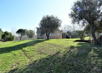 DSC06811.JPG - Terreno agricolo Senigallia - foto 19