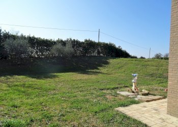 DSC06826.JPG - Terreno agricolo Senigallia - foto 20