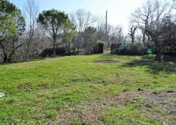 DSC06827.JPG - Terreno agricolo Senigallia - foto 21