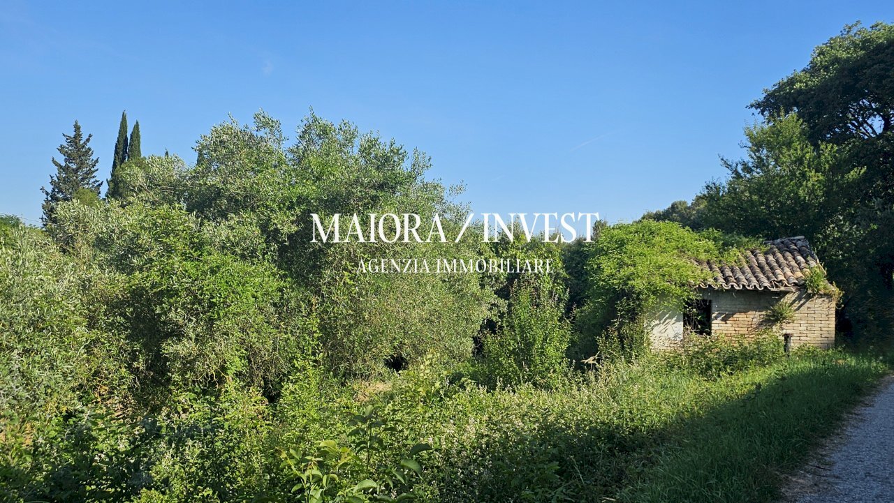 Appartamento in vendita MaioraInvest13.jpg - Rustico Contrada Pianelle, Monsampolo del Tronto - foto 2