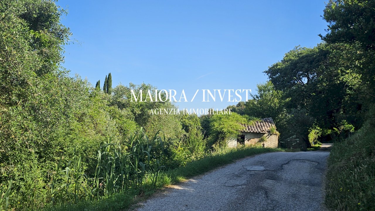 Appartamento in vendita MaioraInvest12.jpg - Rustico Contrada Pianelle, Monsampolo del Tronto - foto 3