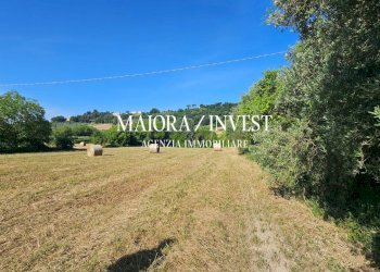 Appartamento in vendita MaioraInvest11.jpg - Rustico Contrada Pianelle, Monsampolo del Tronto - foto 11