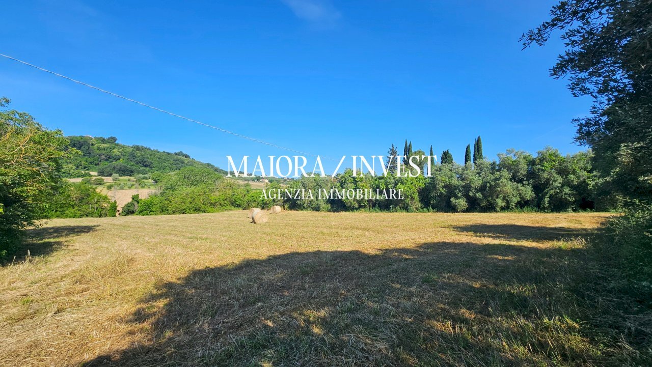 Appartamento in vendita MaioraInvest4.jpg - Agricultural land Contrada Pianelle, Monsampolo del Tronto - photo 1