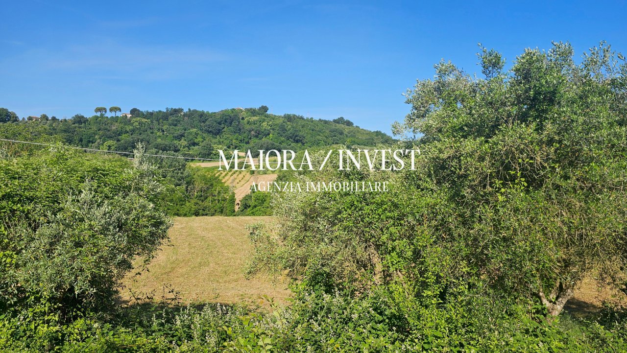 Appartamento in vendita MaioraInvest1.jpg - Agricultural land Contrada Pianelle, Monsampolo del Tronto - photo 2