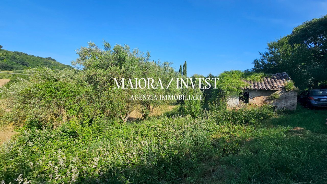 Appartamento in vendita MaioraInvest2.jpg - Agricultural land Contrada Pianelle, Monsampolo del Tronto - photo 3