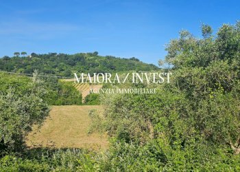 Appartamento in vendita MaioraInvest1.jpg - Terreno agricolo Contrada Pianelle, Monsampolo del Tronto - foto 2