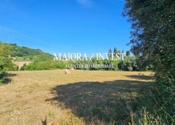 Appartamento in vendita MaioraInvest3.jpg - Terreno agricolo Contrada Pianelle, Monsampolo del Tronto - foto 4