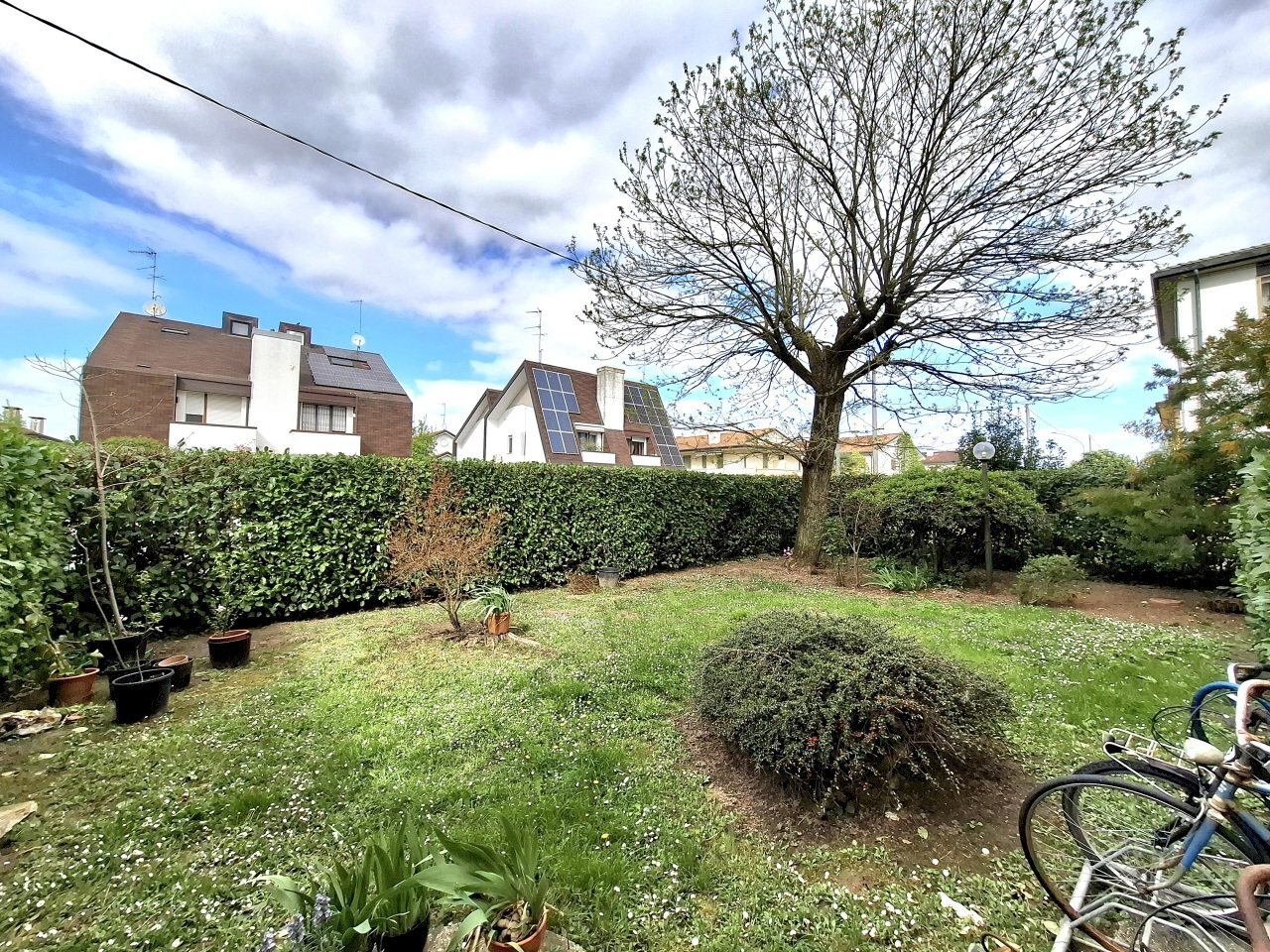 20250407_154311.jpg - Appartamento Via della Costituzione 18A, Rovigo - foto 2