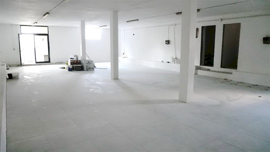 resized_P1000120.JPG - Capannone Montignoso - foto 1