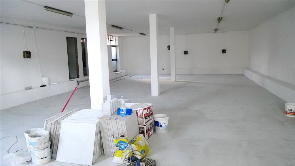 resized_P1000119.JPG - Capannone Montignoso - foto 3