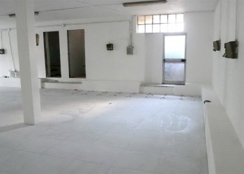 resized_P1000121.JPG - Capannone Montignoso - foto 4