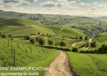 esempio 3.jpg - Terreno edificabile Via Montefrancio 46, Castelnuovo Magra - foto 2