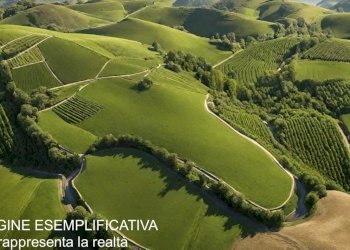 esempio 4.jpg - Terreno edificabile Via Montefrancio 46, Castelnuovo Magra - foto 16