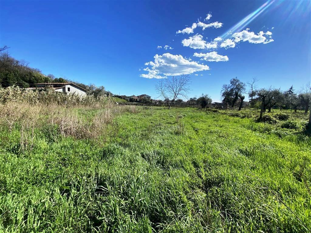 resized_IMG_0306.jpg - Terreno edificabile Via Dogana 82, Luni - foto 1