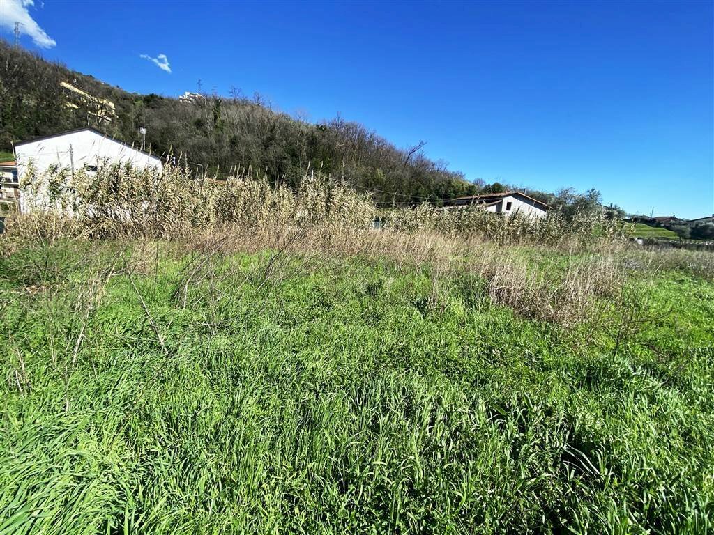 resized_IMG_0307.jpg - Terreno edificabile Via Dogana 82, Luni - foto 3