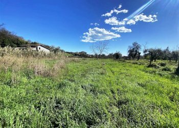 resized_IMG_0306.jpg - Terreno edificabile Via Dogana 82, Luni - foto 1