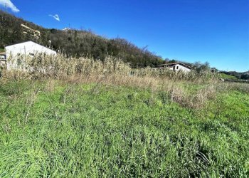 resized_IMG_0307.jpg - Terreno edificabile Via Dogana 82, Luni - foto 3