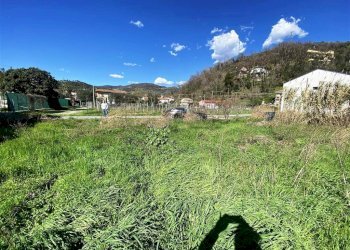 resized_IMG_0308.jpg - Terreno edificabile Via Dogana 82, Luni - foto 5