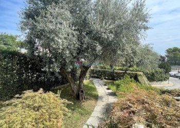 Giardino - Quadrilocale Pineto - foto 28