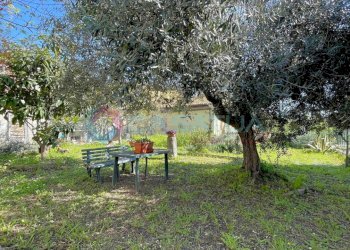 giardino - Porzione di casa Silvi - foto 1