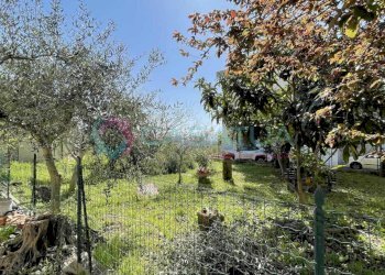 giardino - Porzione di casa Silvi - foto 6