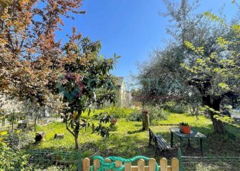 giardino - Porzione di casa Silvi - foto 7