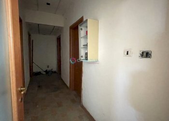 Disimpegno - Locale Commerciale Pineto - foto 7