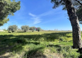 Dintorni - Locale Commerciale Pineto - foto 23