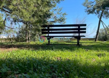 VISTA - Trilocale Silvi - foto 29