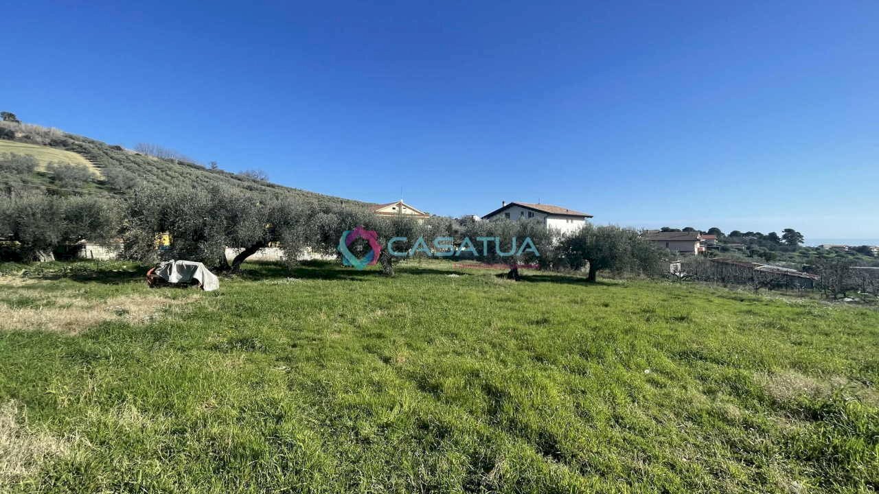 terreno - Agricultural land Silvi - photo 3