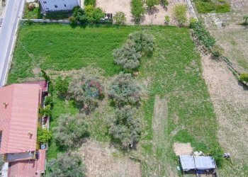 terreno - Agricultural land Silvi - photo 2