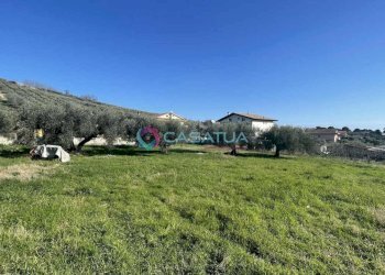 terreno - Agricultural land Silvi - photo 3