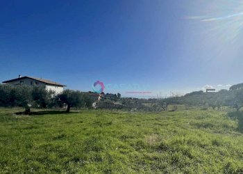 terreno - Agricultural land Silvi - photo 4