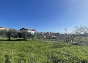 IMG_1858.JPG - Agricultural land Silvi - photo 7