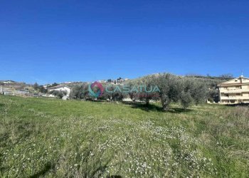 terreno - Agricultural land Silvi - photo 11