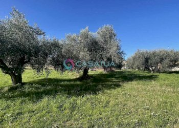 terreno - Agricultural land Silvi - photo 13