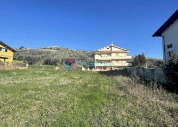 terreno - Agricultural land Silvi - photo 16